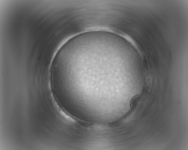 X0000064041102200602101418