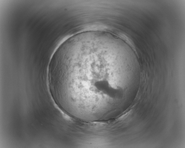 X0000064041103200602101418