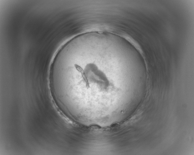 X0000064041104200602101418