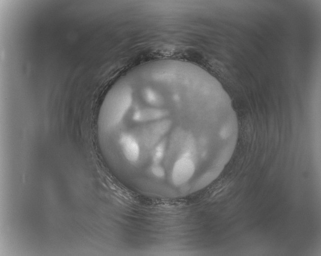 X0000064041105200602101417