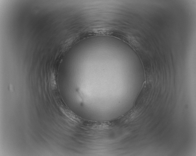 X0000064041106200602101417