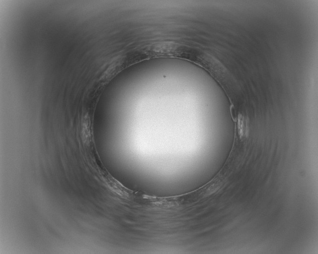 X0000064041107200602101417