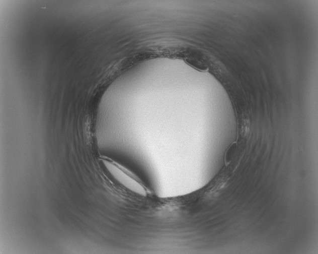 X0000064041108200602101417