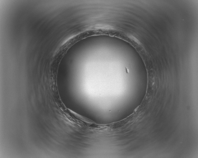 X0000064041112200602101417