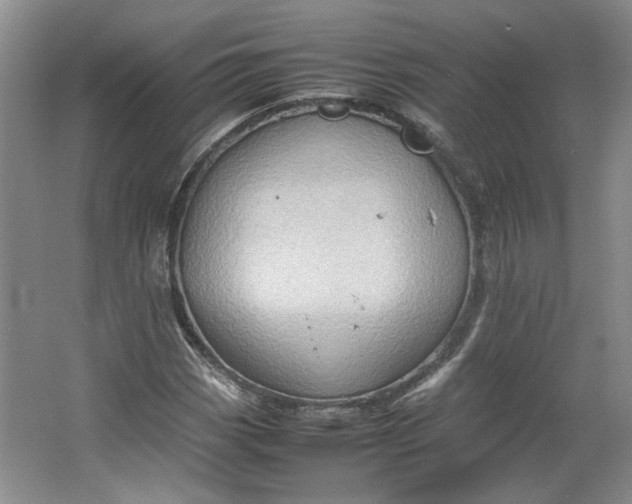 X0000064041113200602101417