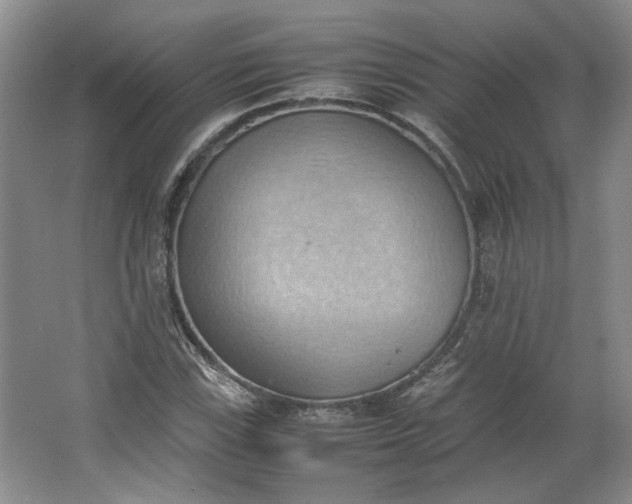 X0000064041115200602101417