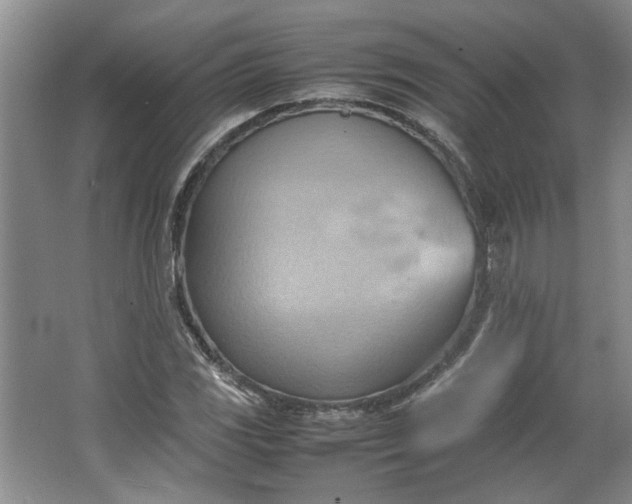 X0000064041117200602101417