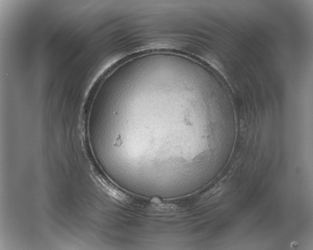 X0000064041119200602101417