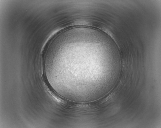 X0000064041123200602101417