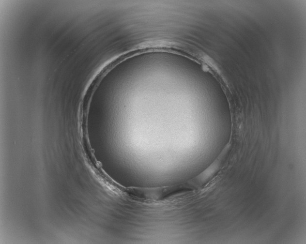 X0000064041124200602101417