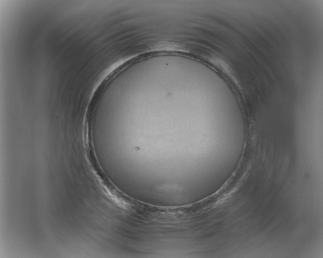 X0000064041125200602101417