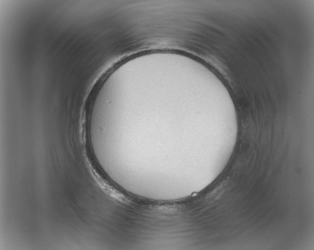 X0000064041126200602101417