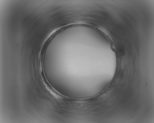 X0000064041127200602101417