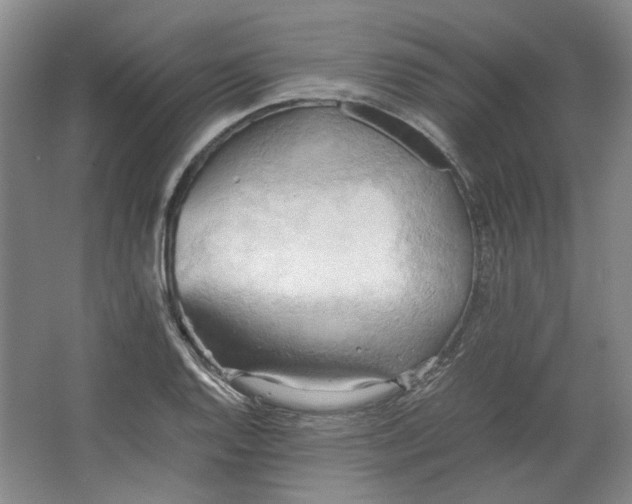 X0000064041128200602101418