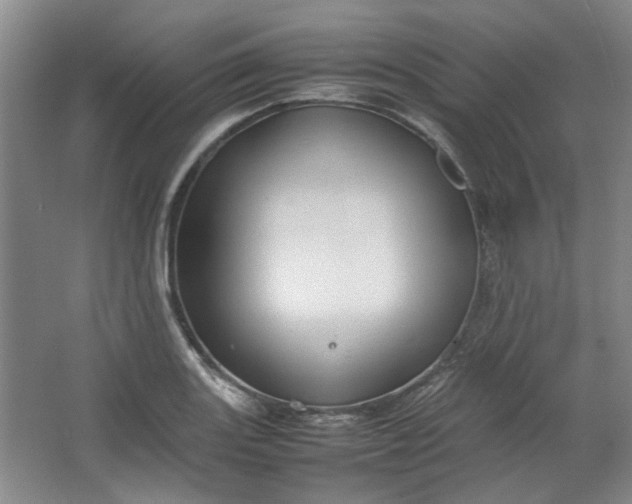 X0000064041131200602101418