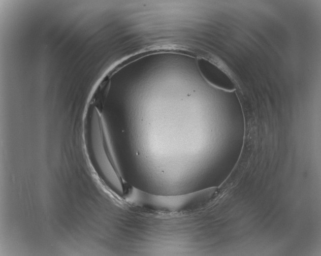 X0000064041132200602101418