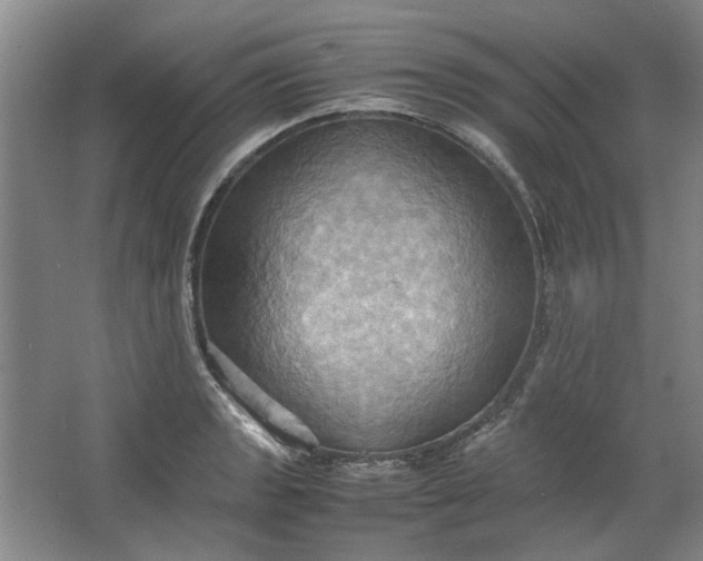 X0000064041133200602101418