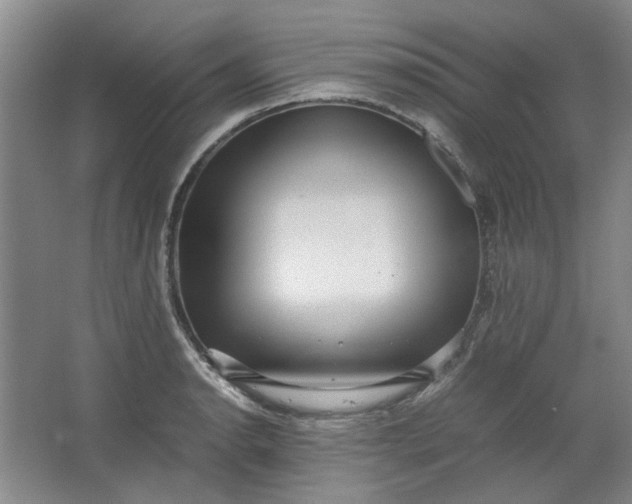 X0000064041134200602101418