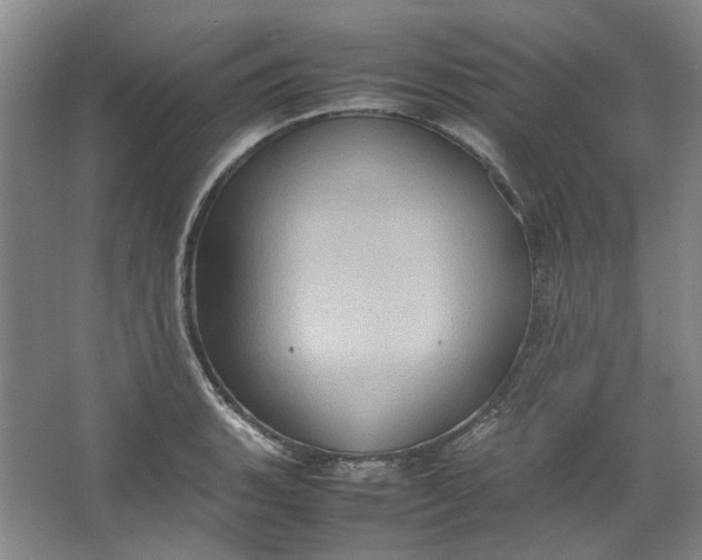 X0000064041135200602101418