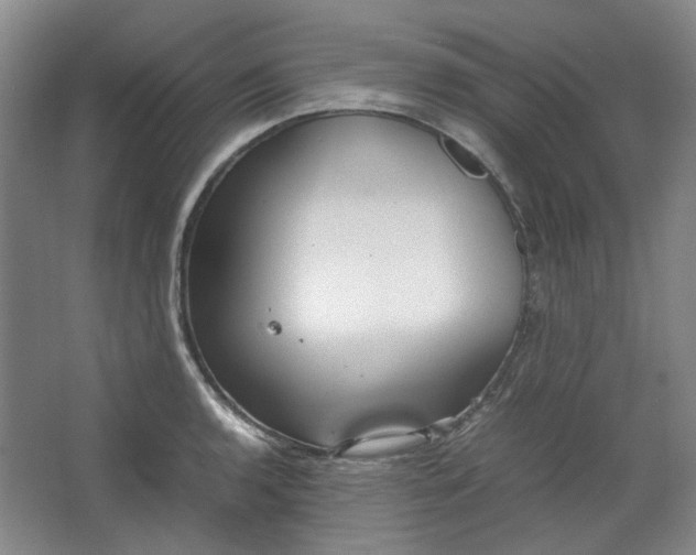 X0000064041136200602101418