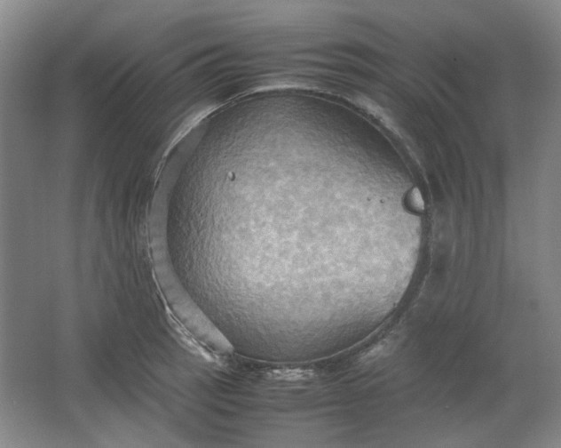 X0000064041137200602101418