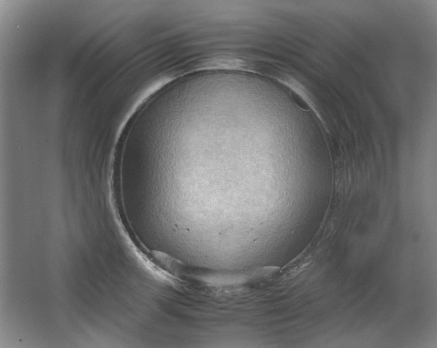 X0000064041139200602101418