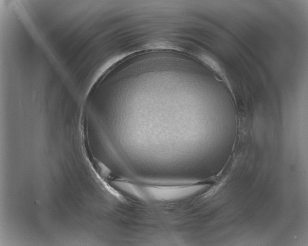 X0000064041141200602101418