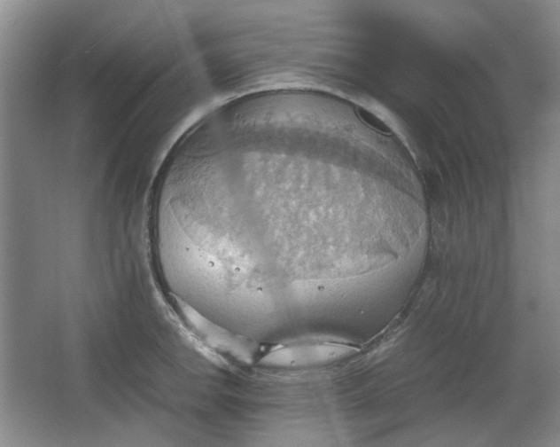 X0000064041142200602101418