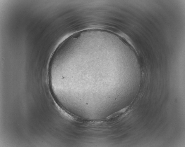 X0000064041143200602101418