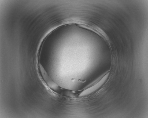 X0000064041144200602101418