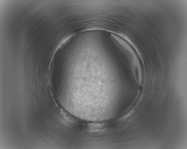 X0000064041145200602101418