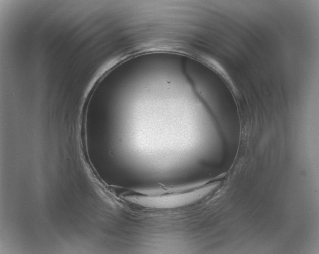 X0000064041146200602101418