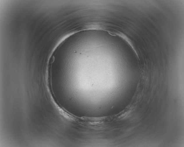 X0000064041147200602101418