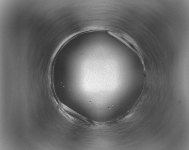 X0000064041148200602101418