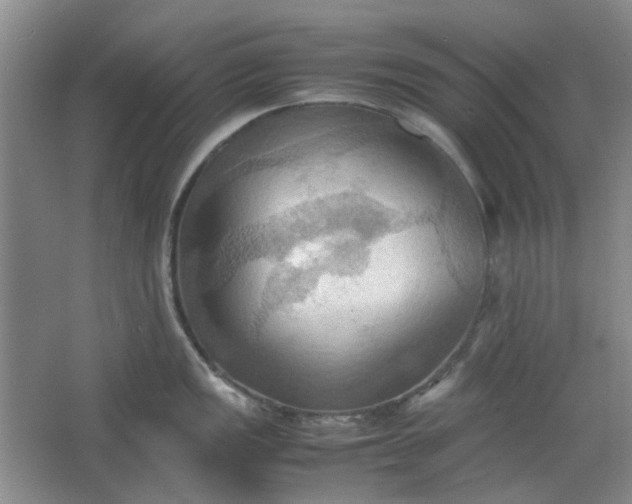 X0000064041149200602101418