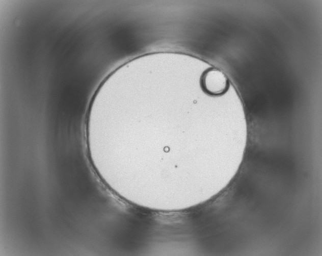 X0000064041150200602101418