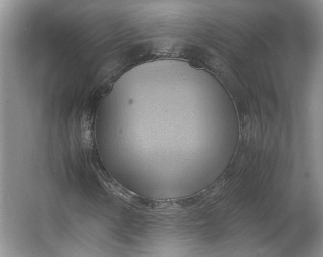 X0000064041154200602101417