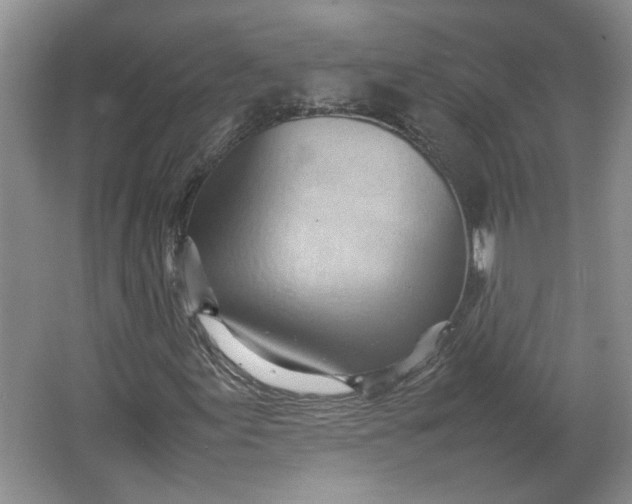 X0000064041155200602101417