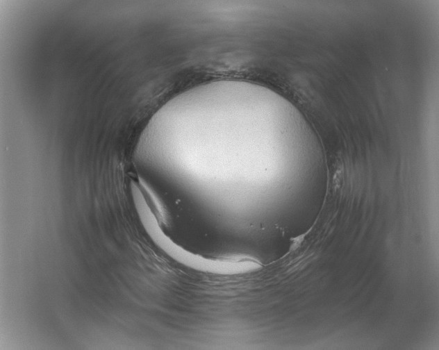 X0000064041156200602101417