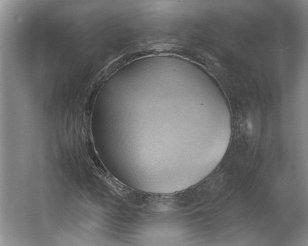 X0000064041158200602101417