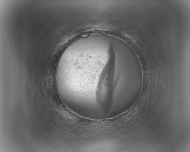 X0000064041159200602101417