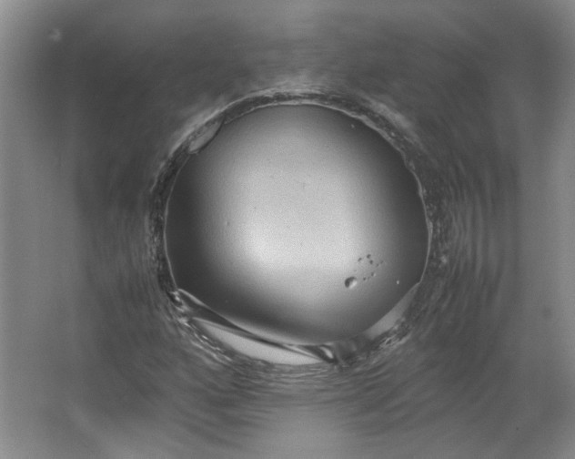 X0000064041160200602101417