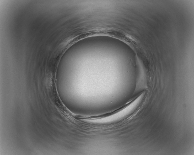 X0000064041161200602101417