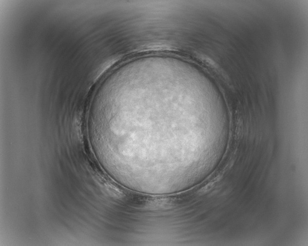 X0000064041162200602101417