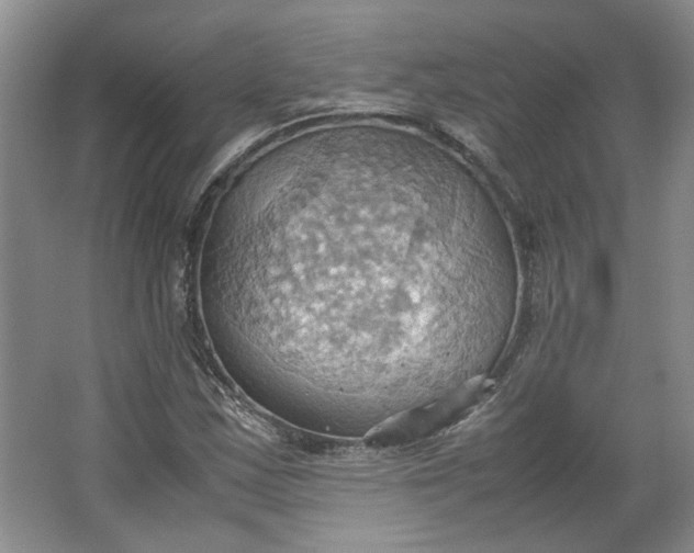 X0000064041163200602101417