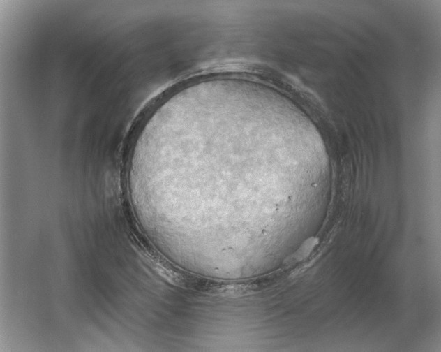 X0000064041166200602101417