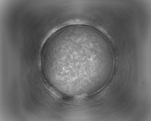 X0000064041167200602101417