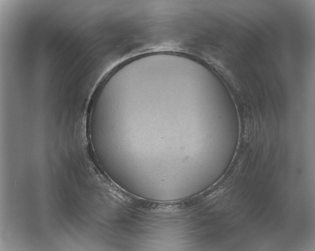 X0000064041174200602101417