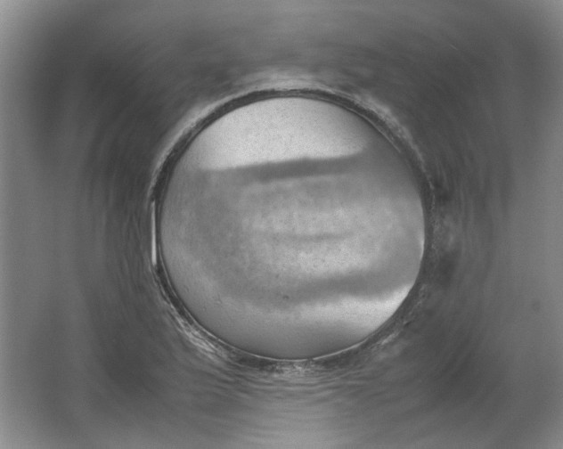 X0000064041175200602101417