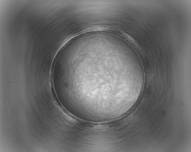 X0000064041178200602101417